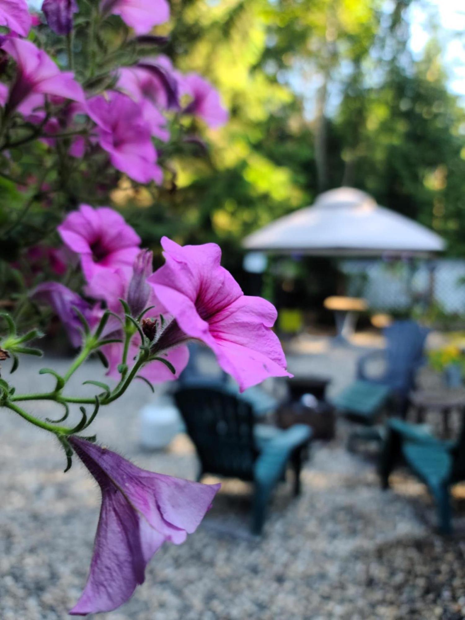 Grizzly Paw B&B Клируотер Экстерьер фото